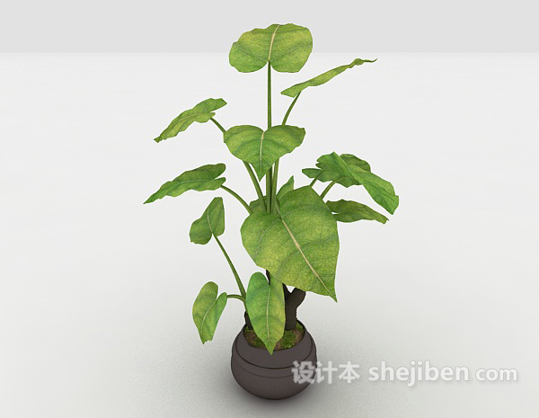 现代风格室内观赏性植物3d模型下载