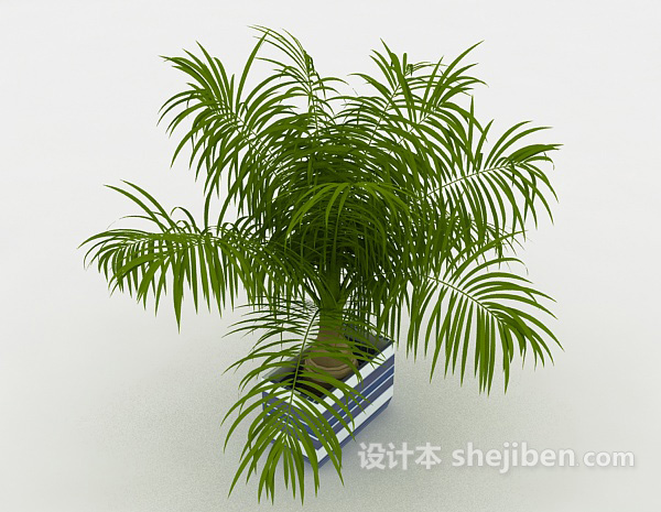 现代风格葱茏室内植物3d模型下载