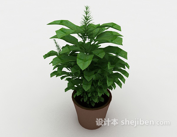 设计本嫩绿室内盆栽3d模型下载