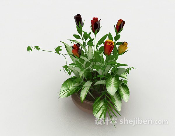 现代风格开花盆栽植物3d模型下载