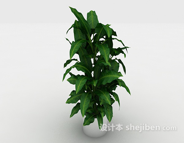 常见绿色家居盆栽3d模型下载