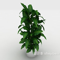 常见绿色家居盆栽3d模型下载
