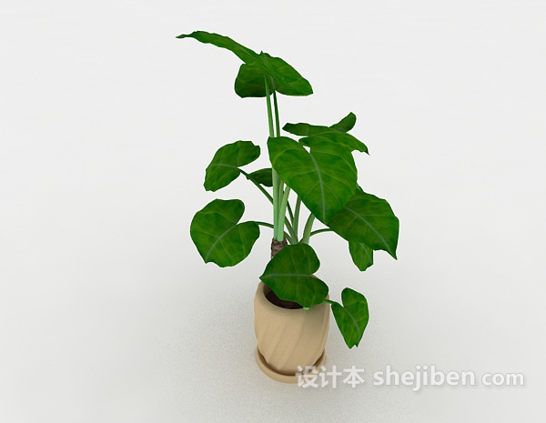 现代风格绿色室内盆栽3d模型下载