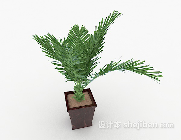 装饰性铁树盆景3d模型下载
