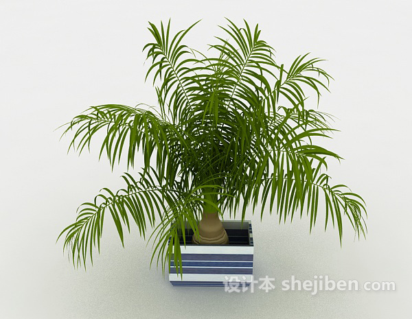 设计本葱茏室内植物3d模型下载