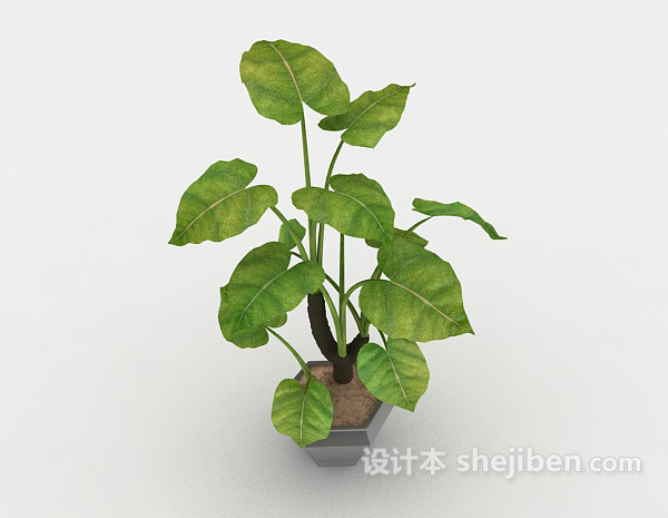 绿色葱茏植株3d模型下载