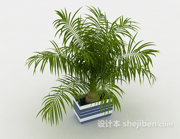 免费葱茏室内植物3d模型下载
