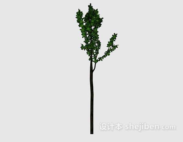 设计本小绿树3d模型下载