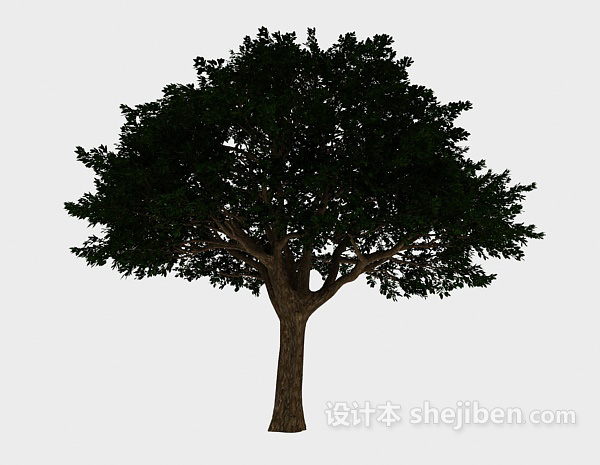 现代风格现代景观树3d模型下载