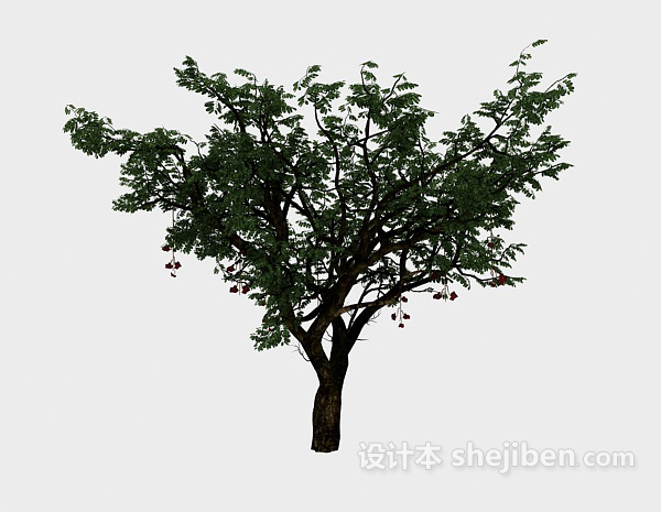 免费绿色常见植物3d模型下载