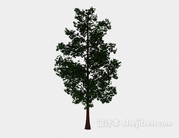 设计本森林高树3d模型下载
