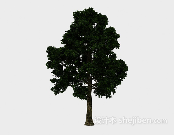 设计本茂密大植树3d模型下载