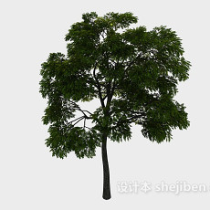 公园植树3d模型下载