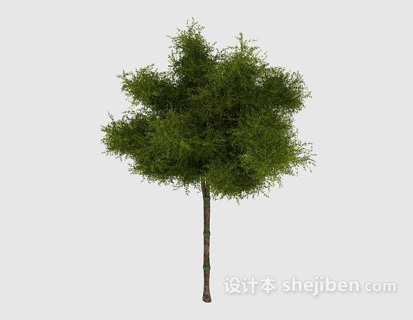 简单常见绿色树苗3d模型下载