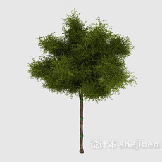 简单常见绿色树苗3d模型下载