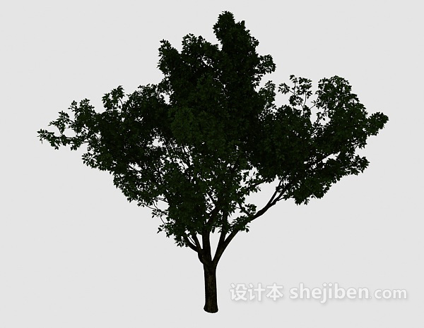 免费庭院大绿树3d模型下载