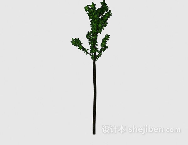 免费小绿树3d模型下载