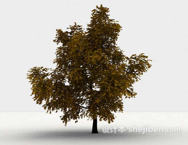 设计本室外植物枫树3d模型下载