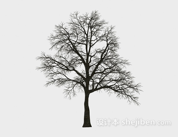 免费冬季树3d模型下载