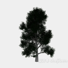 公园大绿树3d模型下载