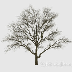 室外树木3d模型下载