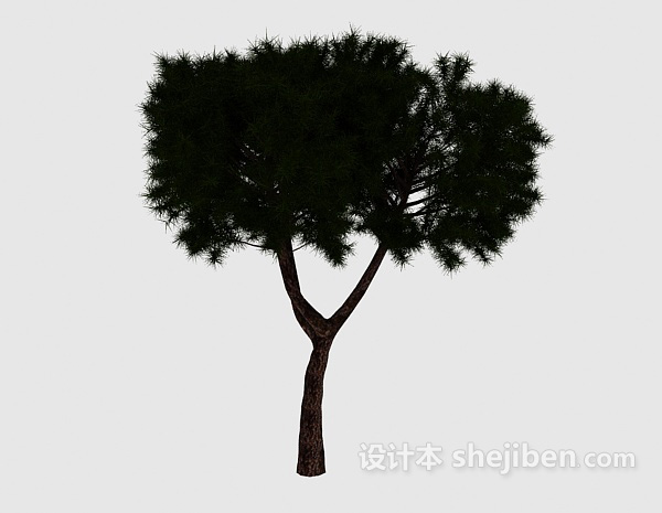 设计本矮松树3d模型下载