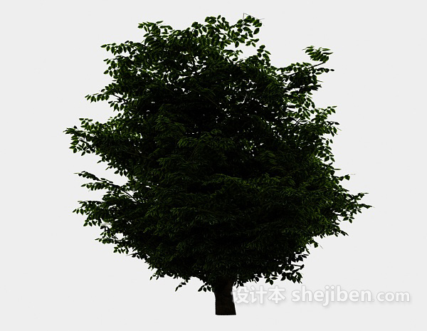 设计本湖边大植树3d模型下载