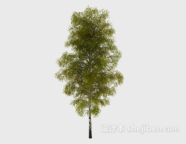 免费常见室外植物绿树3d模型下载