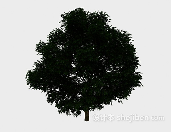 免费庭院大树3d模型下载