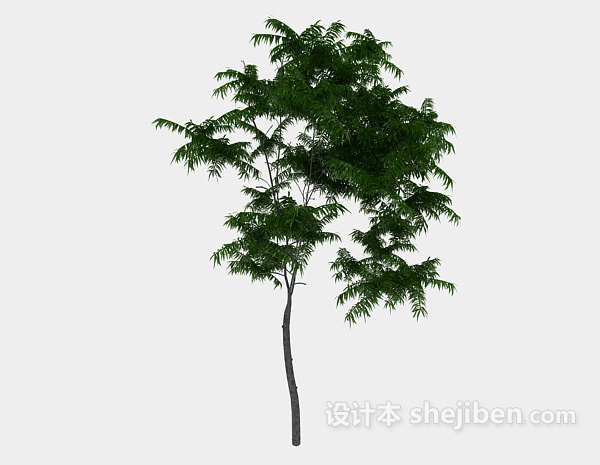 普通室外绿色植物3d模型下载