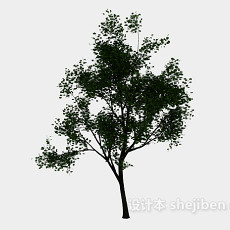 植树3d模型下载