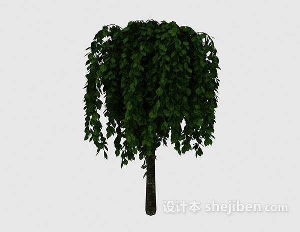 设计本茂密绿树3d模型下载