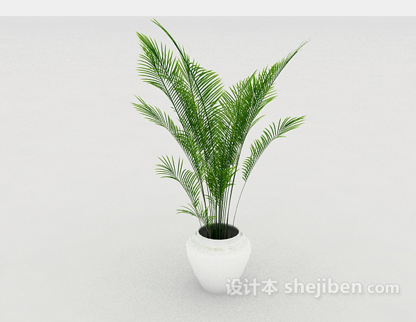 现代风格办公室绿化型盆栽3d模型下载