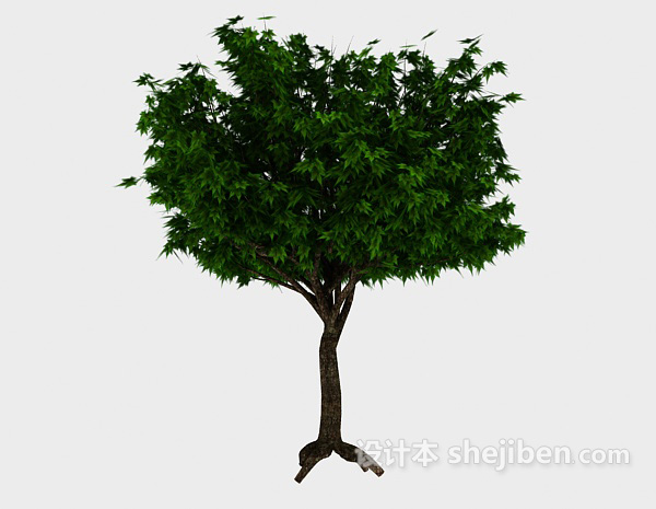 免费翠绿色大树3d模型下载