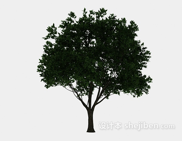 设计本常青绿树3d模型下载