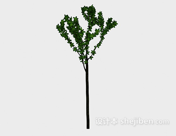 设计本室外小树3d模型下载
