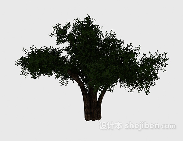 免费个性大树3d模型下载