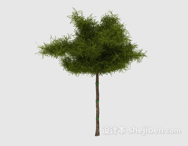 现代风格简单常见绿色树苗3d模型下载