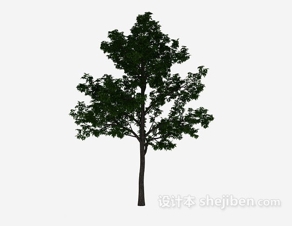 免费庭院绿植树3d模型下载