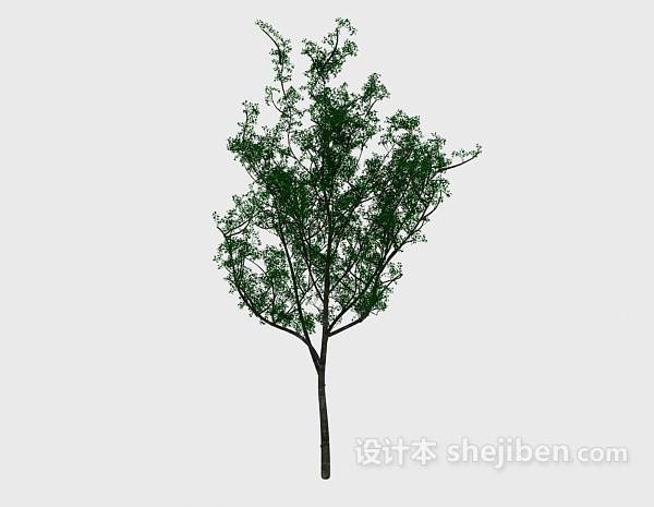 公园树3d模型下载