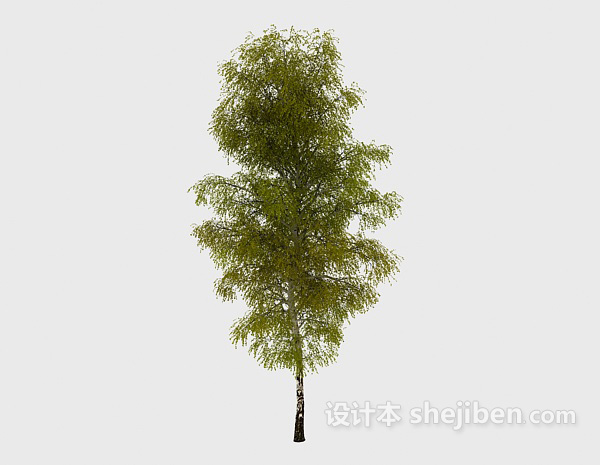 设计本常见室外植物绿树3d模型下载