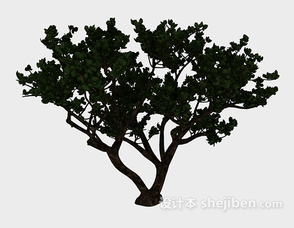 免费实木古树3d模型下载