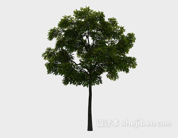免费公园植树3d模型下载