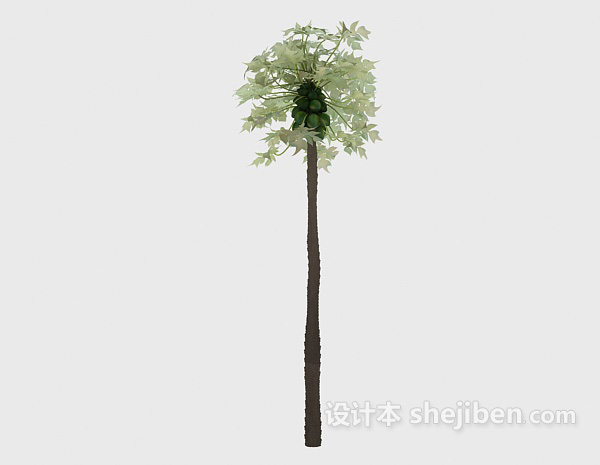 现代风格热带树种3d模型下载