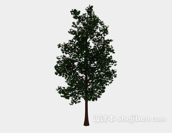 免费森林高树3d模型下载