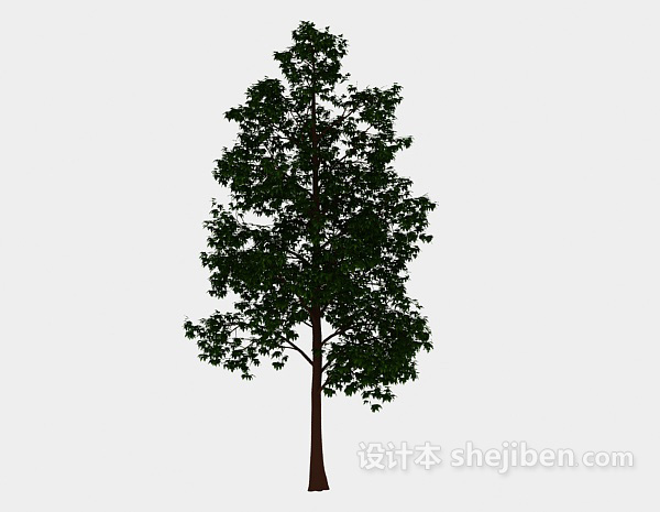 现代风格森林高树3d模型下载