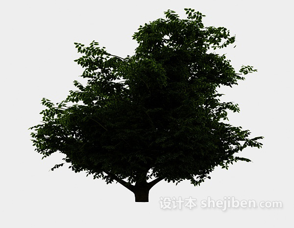 现代风格湖边大植树3d模型下载