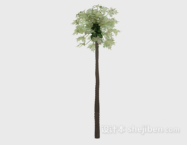 免费热带树种3d模型下载