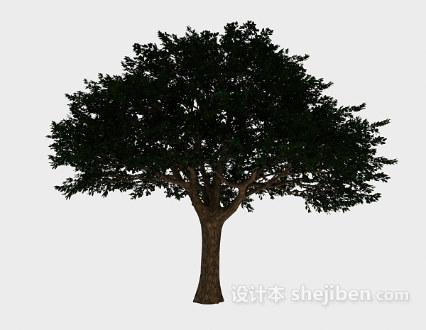 免费现代景观树3d模型下载