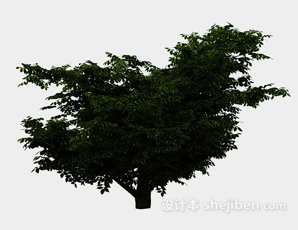 湖边大植树3d模型下载